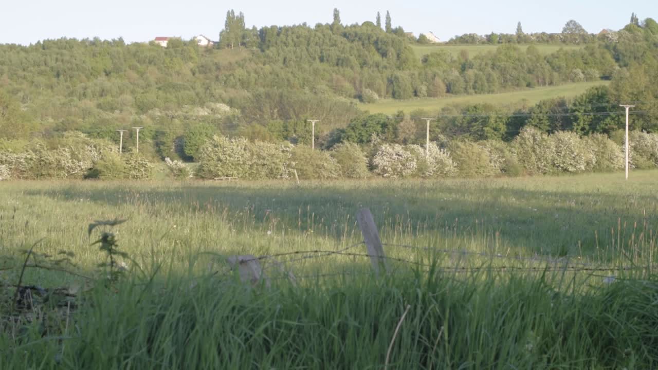 Wide landscape shot of green farmer fields in English countryside