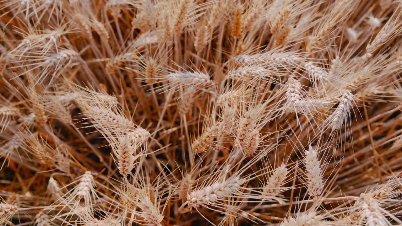 niclas dreier 크리에이티브의 4k 스톡 푸티지