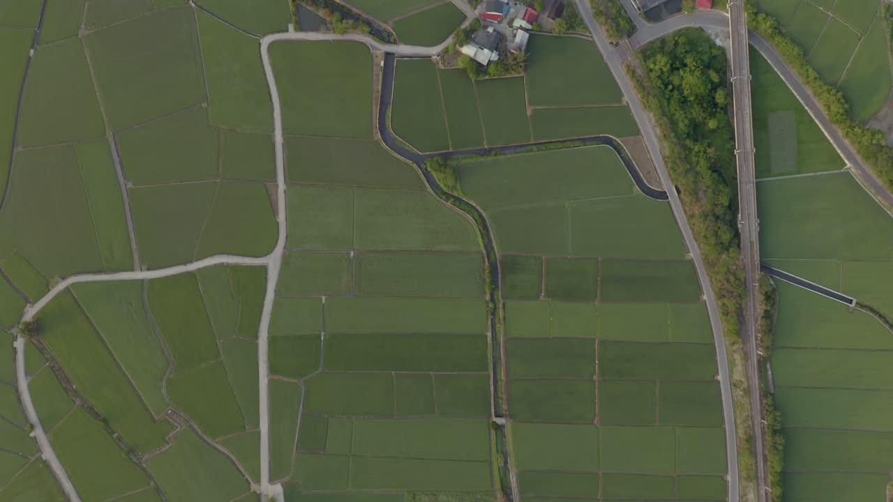 una gran área de tierra agrícola cultivada en chishang, condado de taitung, taiwán - toma aérea