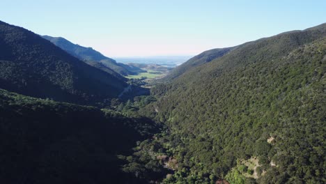 Ascending-in-a-valley-at-the-start-of-the-Remutaka-cycle-trail,-Wairarapa,-New-Zealand