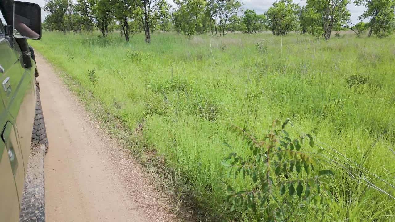 Side view of safari tour jeep slowly following Mikumi national park muddy dirt road track Tanzania