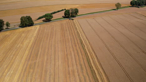 Toma-Aérea-Hacia-Atrás-De-Un-Gran-Campo-De-Trigo-Con-Avenida-Rural-Y-árboles-En-Verano