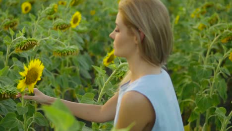 Porträt-Einer-Jungen-Frau-In-Einem-Blauen-Kleid,-Die-Auf-Einem-Sonnenblumenfeld-Steht-Und-Die-Natur-Genießt.-Zeitlupenaufnahme