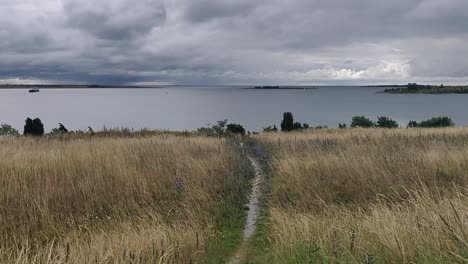 Küstenweg-Mit-Dramatischem-Bewölktem-Himmel,-Gotland-Schweden