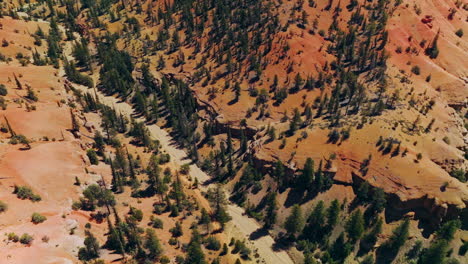 Scarce pine trees growing on the rocky landscape. Drone footage over the Arches National park on sunny day.