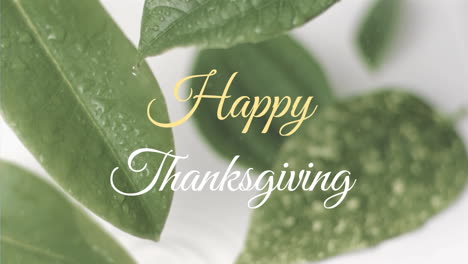 Happy-Thanksgiving-text-animation-over-green-leaves-with-water-droplets