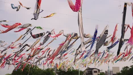 celebration of children's day in japan