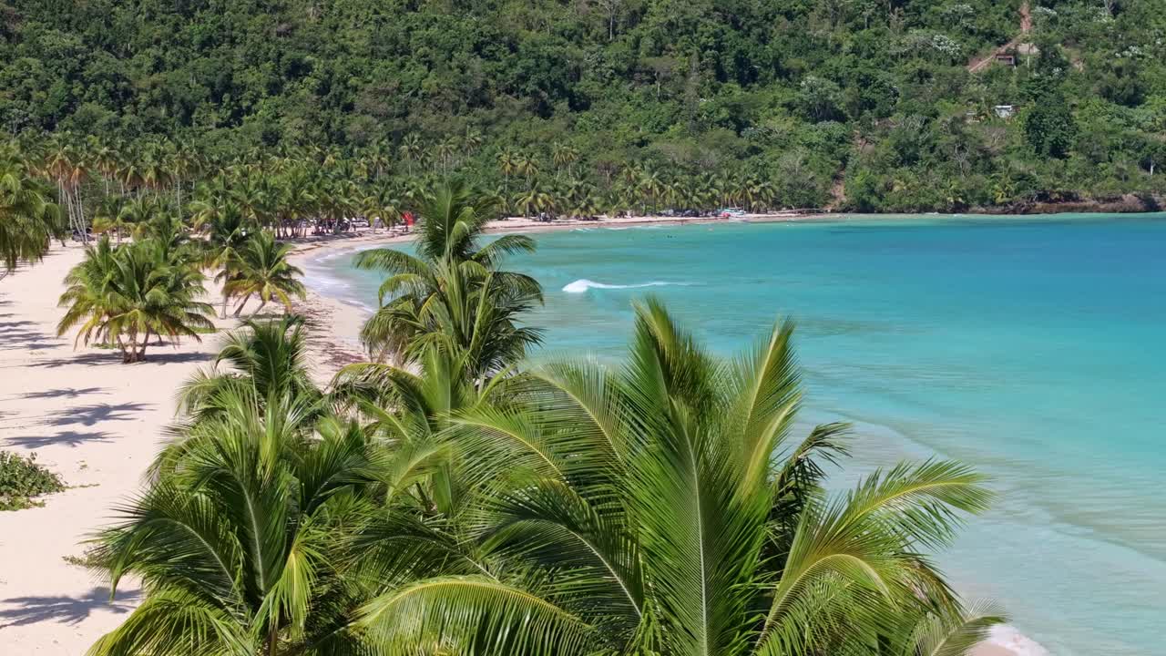 Playa Rincon costeggiata da palme e l'idilliaco mare blu dei Caraibi, vista aerea