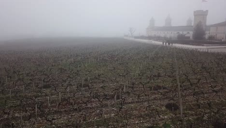 Viñas-Desnudas-En-Un-Brumoso-Día-De-Invierno-Con-El-Castillo-De-Cos-D&#39;estournel-Al-Fondo,-Bordeaux-En-Francia