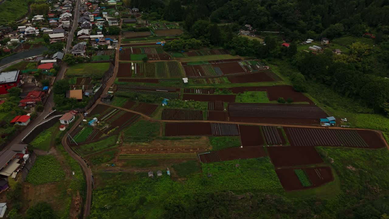 Aerial view of agricultural fields and village