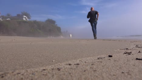 a man and a dog jog on a beach