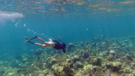 young woman dives to healthy shallow coral reef in tropical sea water