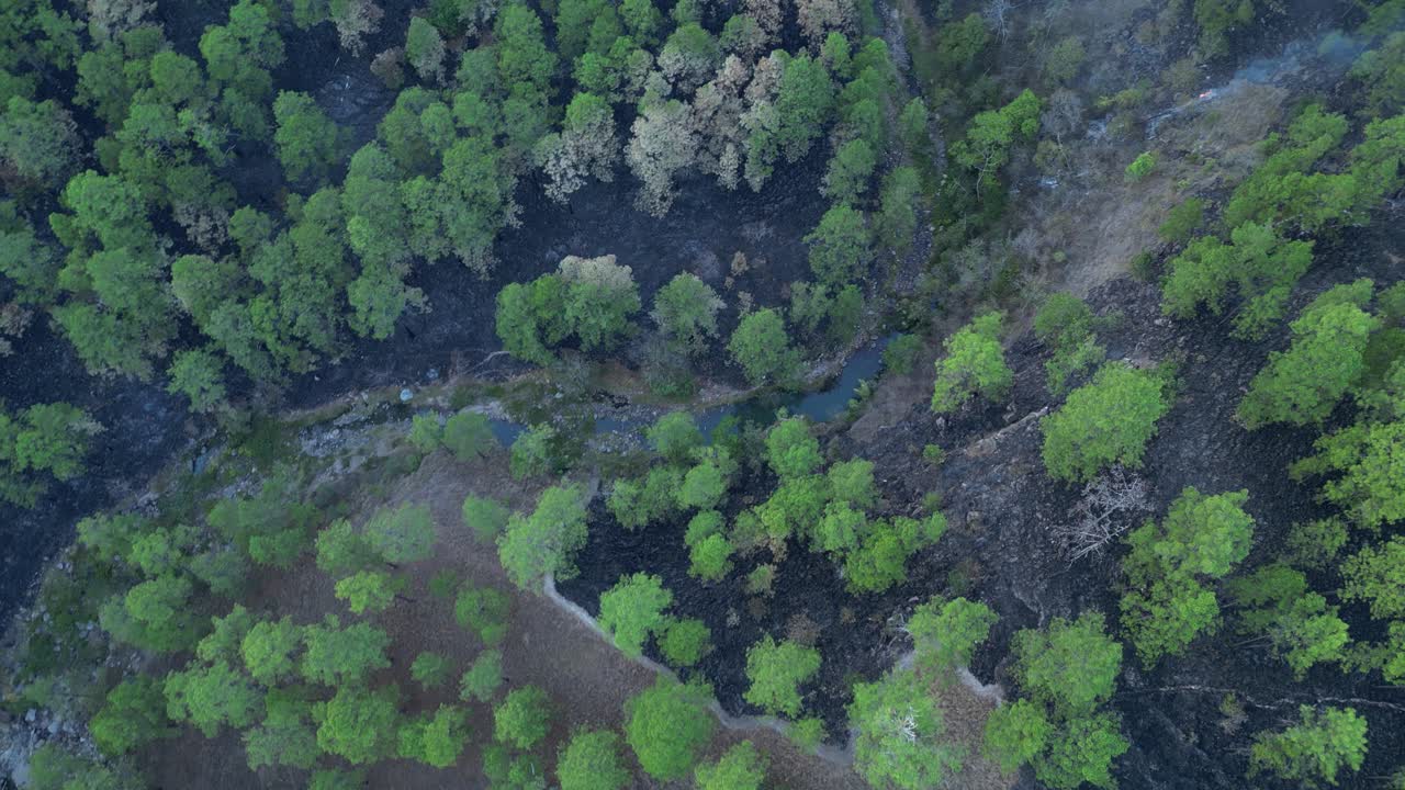 Aerial view of Wildfire in Honduran Mountains Threatening Natural Water Sources