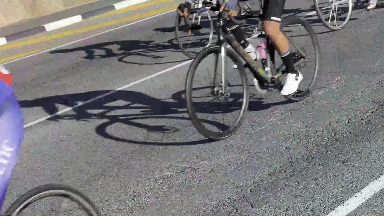 케이프 타운 반도 주위 자전거 투어