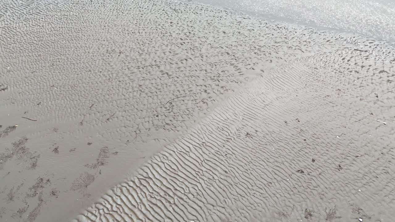 Aerial View Tilt of the Beach and the Wind Farm in Ben Tre.