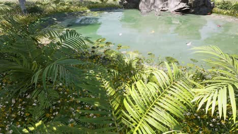 Colorful-butterflies-flying-around-randomly-above-a-small-pond-with-grass-and-flowers,-a-natural-environment,-3D-animation