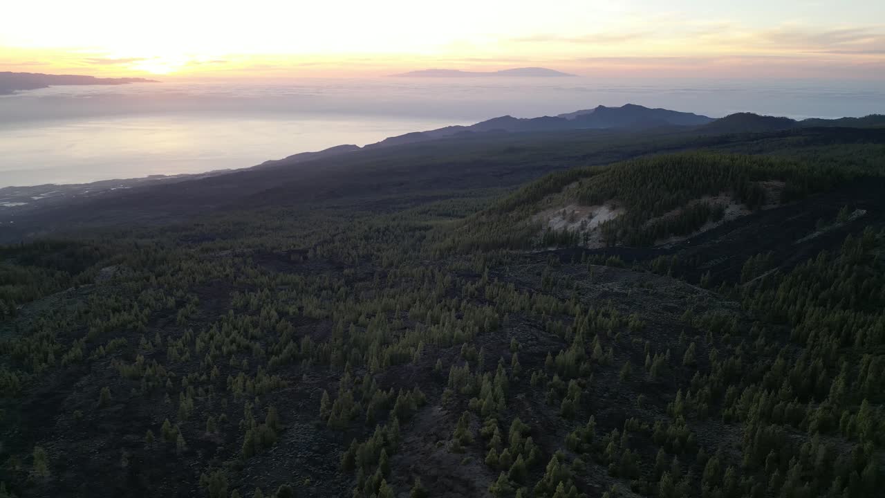 bosque del volcán el teide al atardecer con puerto cruz en la base, tenerife islas canarias españa, toma aérea izquierda