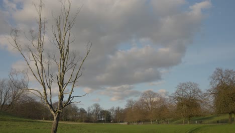 Un-Día-Pintoresco-En-El-Parque,-En-Medio-De-Una-Ciudad