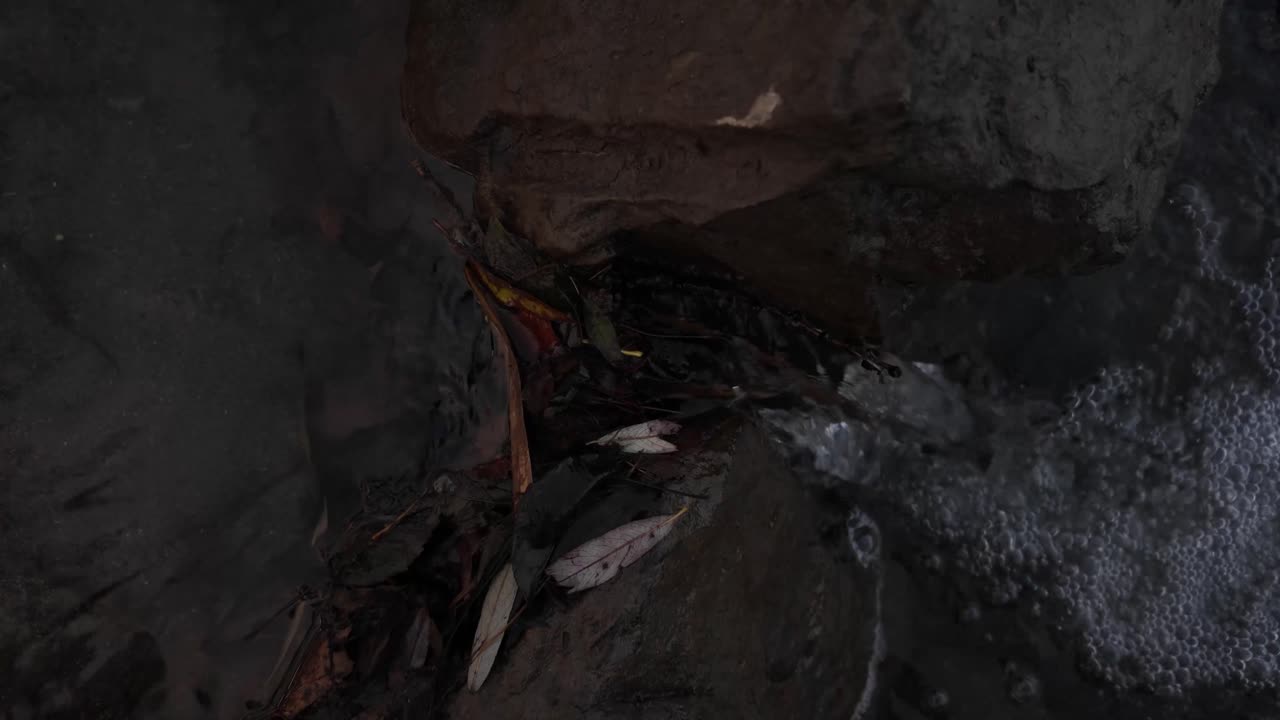 River creek cold mountain water stream flowing nature natural filter outdoor forest