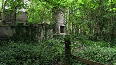 magical hidden stone castle ruins surrounded by wild garlic woodland forest lush dense foliage