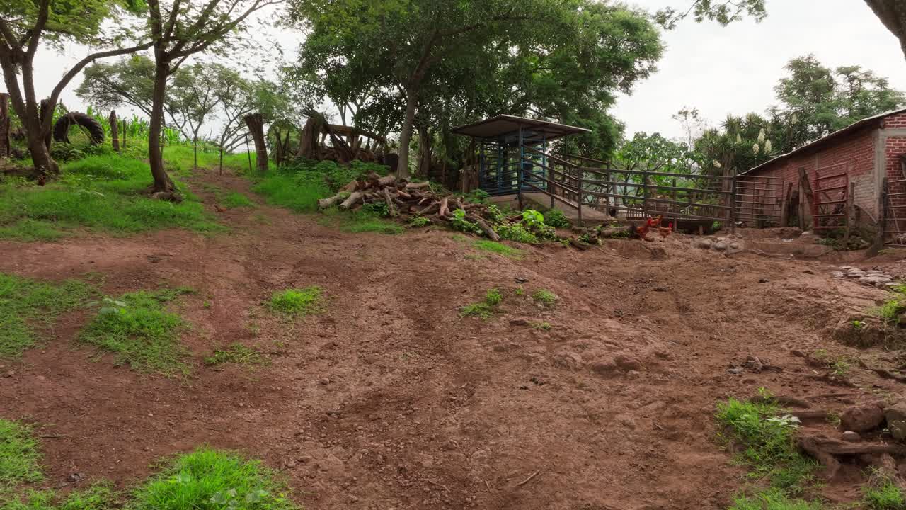 A peaceful farm path winds between wooden cabins, capturing rustic rural charm up close