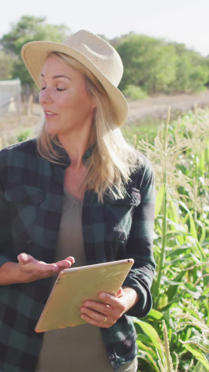 Video di una donna e un uomo felici e multietnici con un tablet in un campo in una giornata di sole
