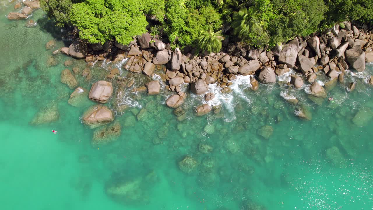 Filmato drone di clienti che nuotano e fanno snorkeling vicino a pietre di granito, circondato da alberi, acqua turchese, Anse Louis, Mahé Seychelles 30 fps