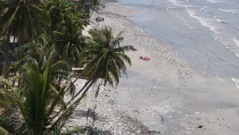 Toma-Aérea-Reveladora-De-Palmeras-En-La-Playa-Y-Voluntarios-Limpiando-La-Playa-Llena-De-Plástico-Y-Desechos.