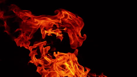 dangerous flames of red hot fire rising into the air. close up view of blaze in the darkness.