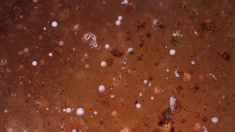 macro shot of gross bubbling brown and orange liquid. macro abstract texture background