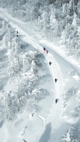 people snowshoeing on a snowy mountain trail