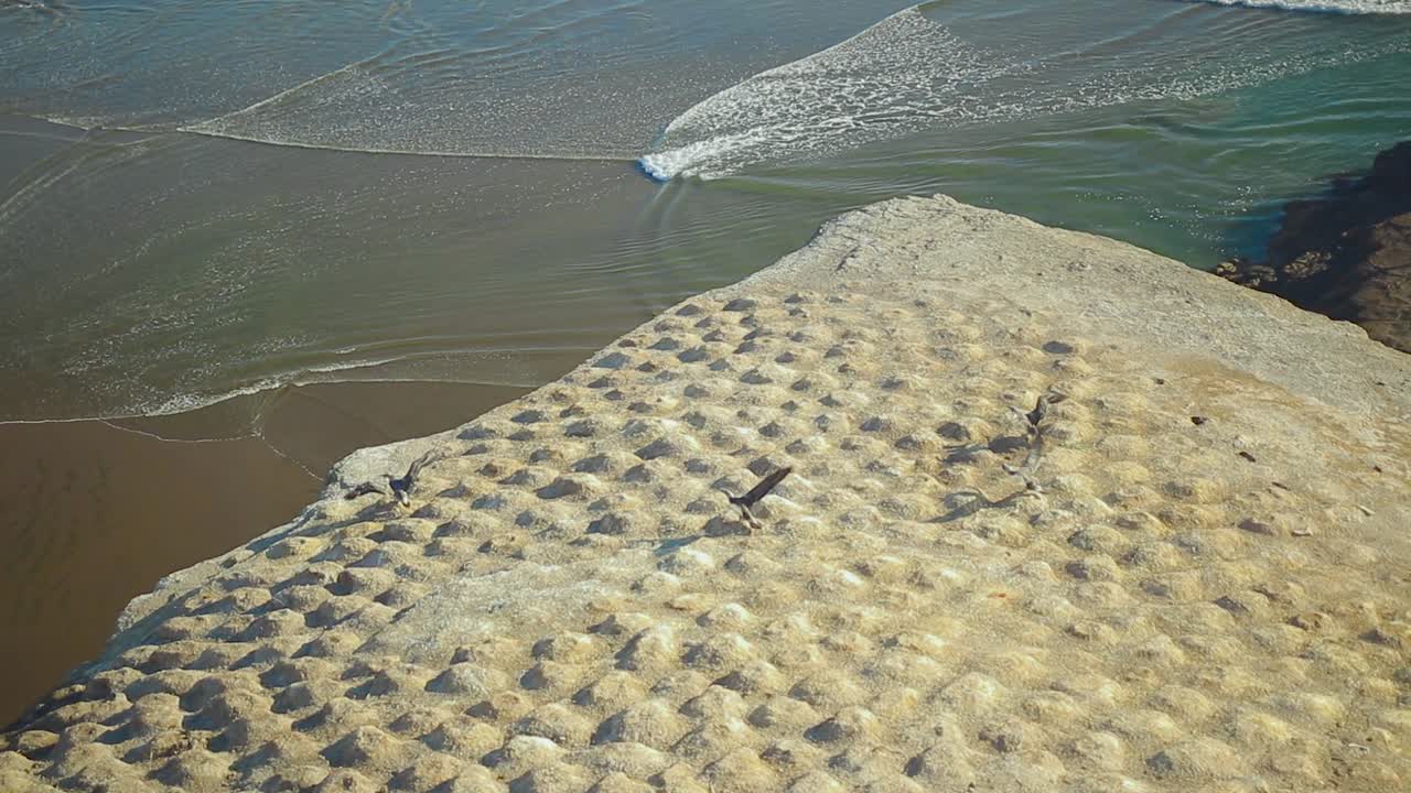 무리와이, 뉴질랜드 토착 식물이 있는 언덕 꼭대기 전망의 오클랜드 여행 목적지