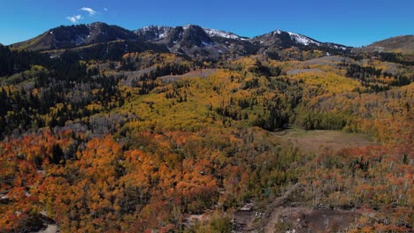 Una-Toma-Aérea-Ascendente-De-Una-Montaña-Nevada-Con-álamos-Amarillos-Durante-El-Otoño-En-Utah