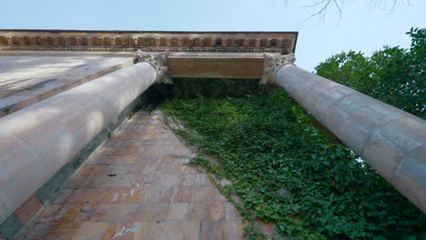 ruined building with ivy-covered walls