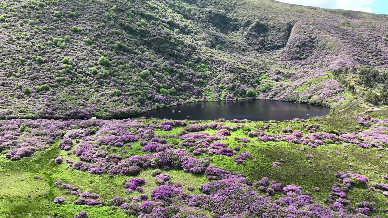 Ireland Epic locations drone flypast Bay lake surrounded by rhododendrons with people paddling on the lake,Knockmealdown mountain