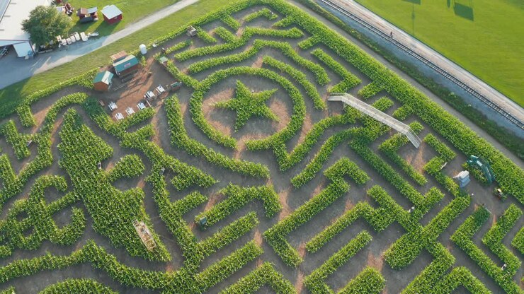 Corn maze, Thank You medical workers in 2020