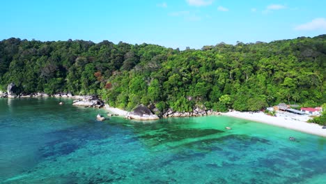 Seychelles-beach-palm-trees-smooth-rocks