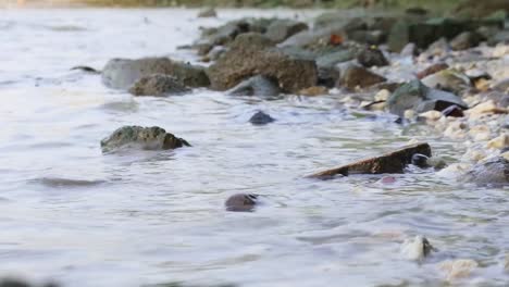 Low-shot-of-waves-crashing-into-the-pebbles-of-the-beach