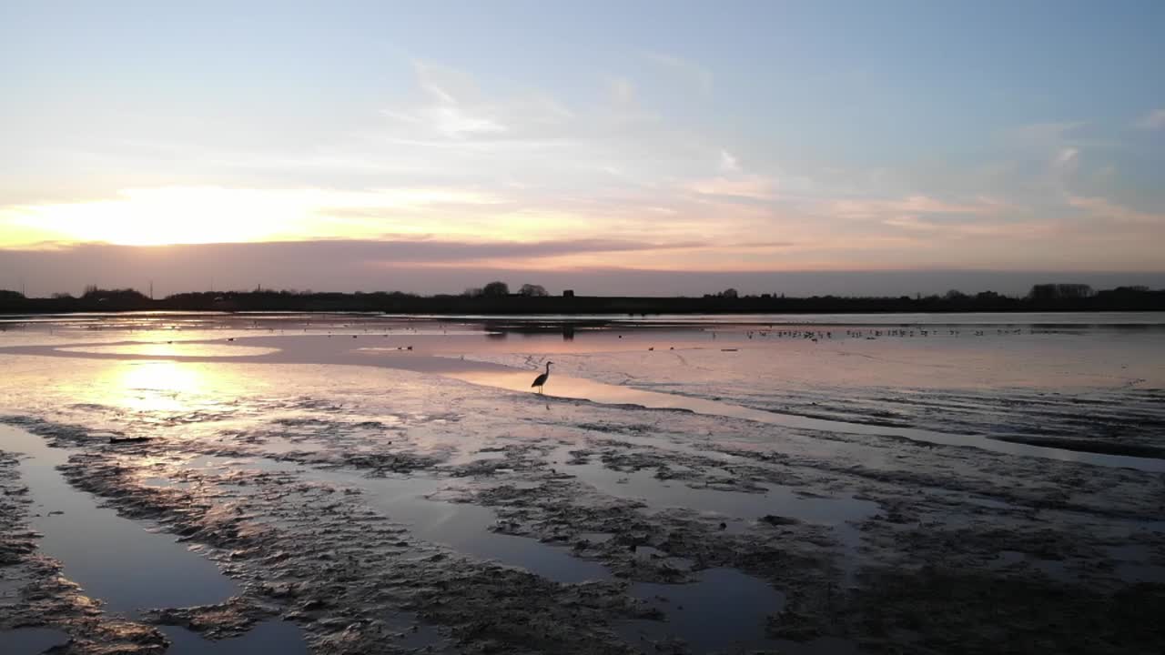 Solnedgang over en rolig, reflekterende sø med en stor trane, der flyver væk