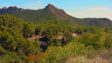 Beautiful-landscape-in-park-in-Las-Palmas-in-the-Benicassim-desert,-Spain