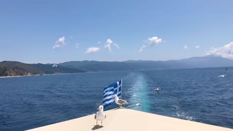 Slow-motion-of-two-human-friendly-seagulls-standing-on-the-ship-deck-canopy-and-sailing-together-along-Mediterranean-sea