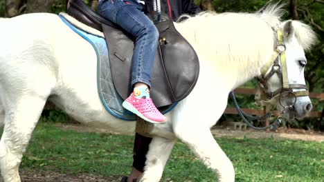 a child rides mini horse in a pasture.