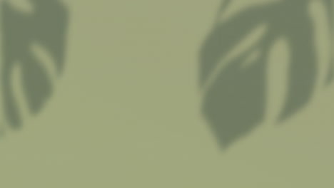 animación de un patrón floral con espacio de copia sobre un fondo verde