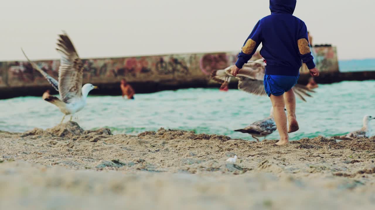 Frightened gulls are flying away from the shore because boy is running to birds on the background of the pier. View of sea. Slow motion