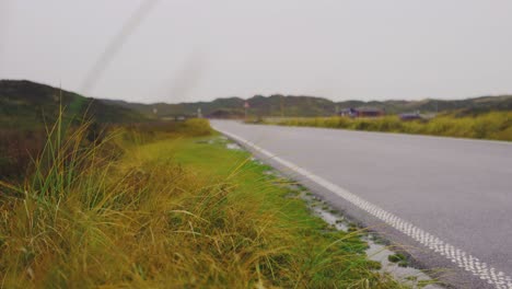 road in countryside with yellow and green grass around