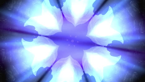 abstract flower-like kaleidoscope animated pattern