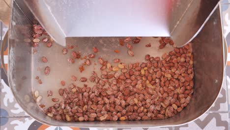 peanut processing machine