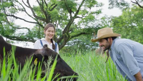 couple enjoying the countryside with cows