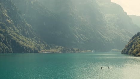 people in stand up paddle in sunny day, river landscape