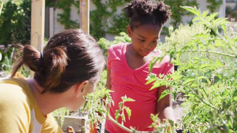 Feliz-Mujer-Caucásica-Y-Su-Hija-Afroamericana-Haciendo-Jardinería-Juntos